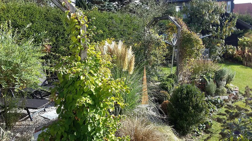Wildnisresidenz Am Nationalpark Apartment Lindberg